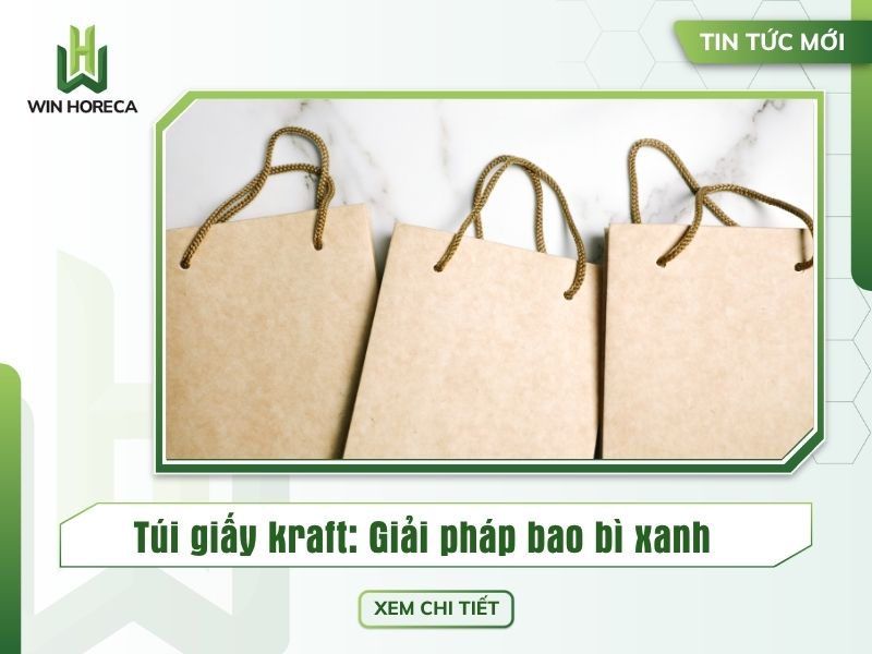 túi giấy kraft giải pháp bao bì xanh