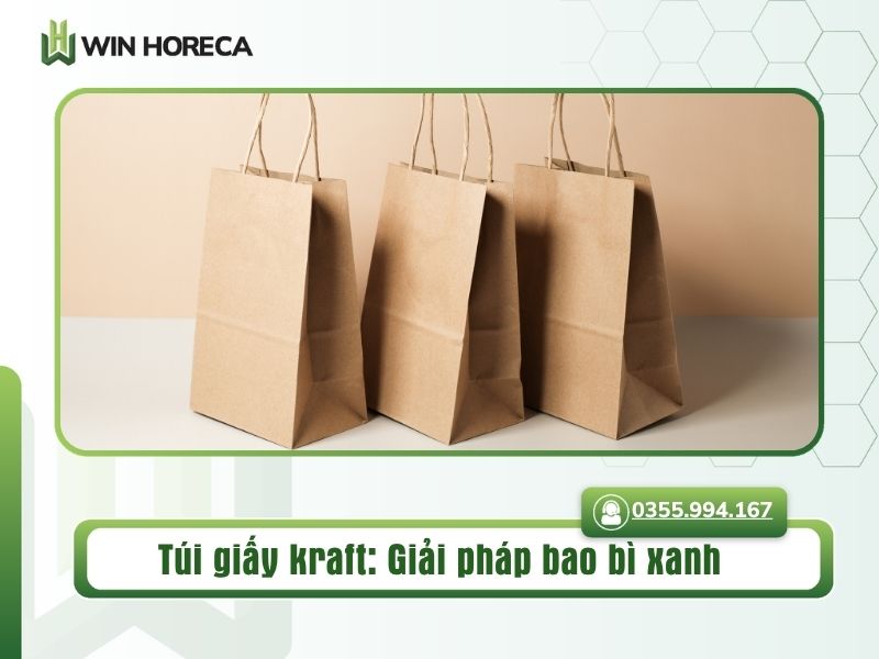 túi giấy kraft